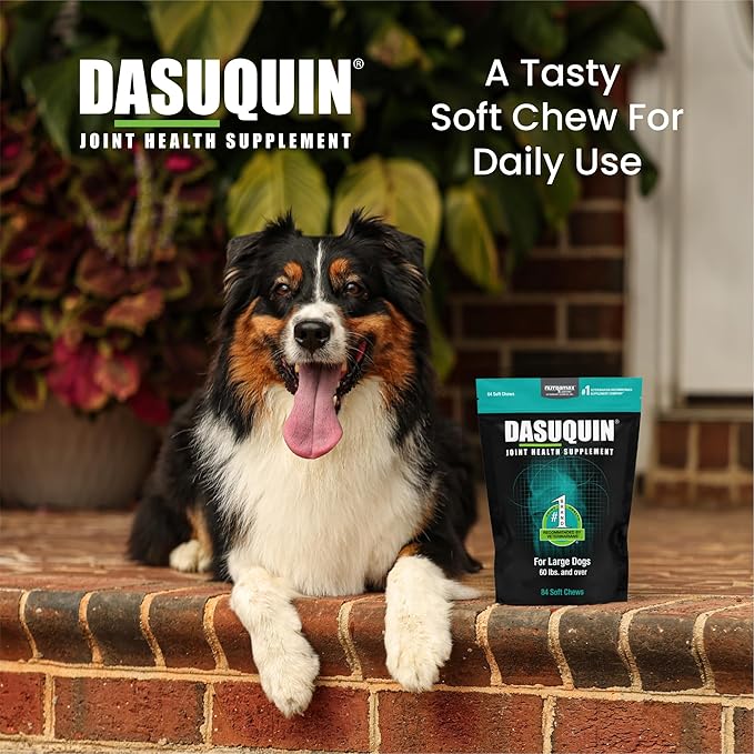 Nutramax Dasuquin for Large Dogs, Joint Health Supplement, Contains Glucosamine for Dogs, Plus Chondroitin, ASU and More, Supports Healthy Joints, Soft Chews, 84 Count