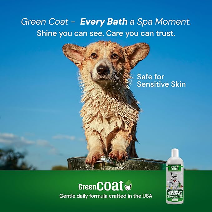 Green Coat 2-in-1 Dog Shampoo & Conditioner, Caviar Extract, Aloe & Bergamot for Sensitive Skin, Deep Shine + Detangler, Hydrating Luxury Dog Wash, 16oz, Made in USA
