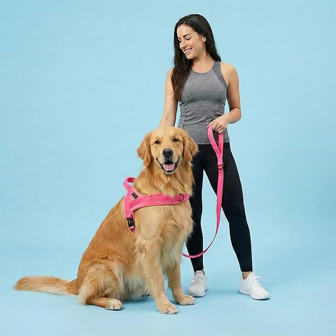 Didog Soft Flannel Padded Dog Vest Harness, No Pull/Quick Fit Reflective Dog Strap Harness, Easy for Training Walking (M:Chest 21-26", Pink)