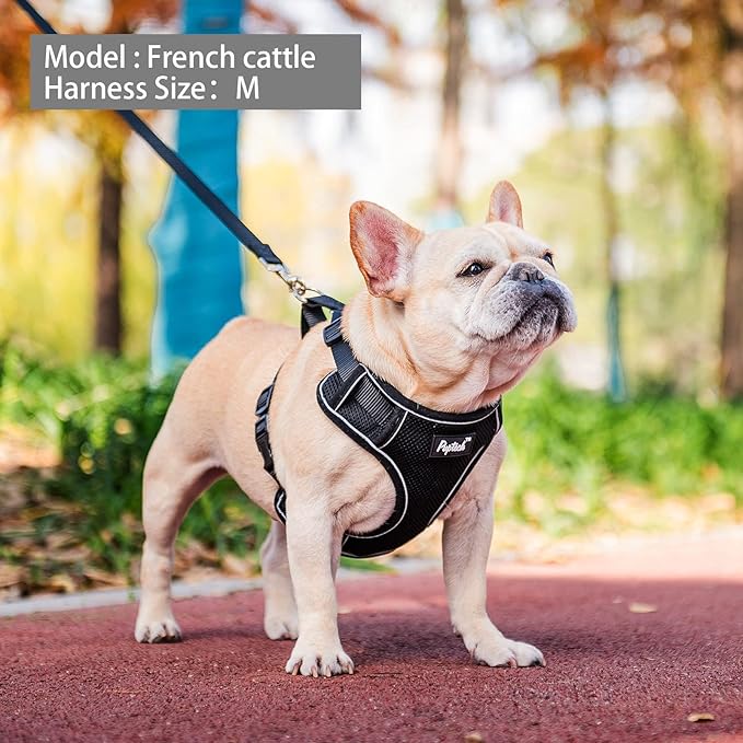 PUPTECK Small Dog Harness and Leash Set, No Pull Adjustable Puppy Cat Harness, Reflective Soft Mesh Pet Vest Small Sized, Black, XS