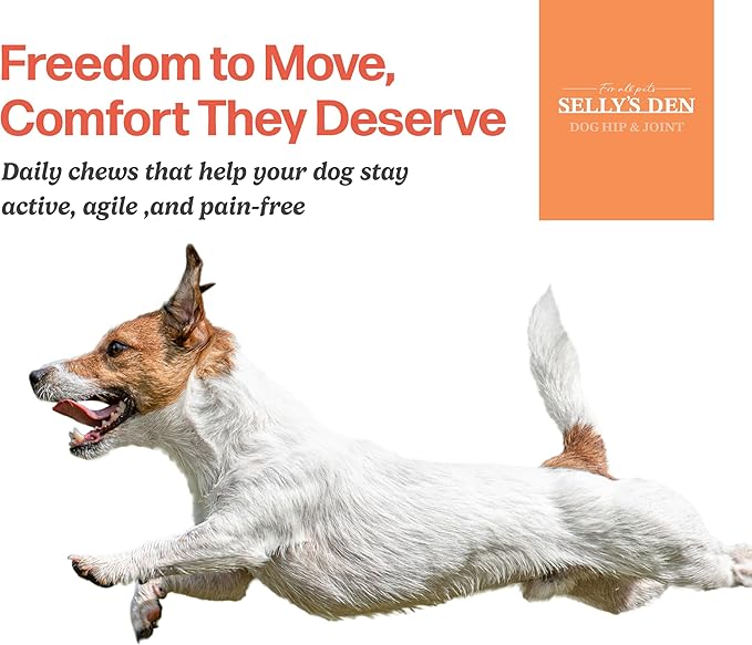 Selly’s Den Dog Hip and Joint Supplement for Mobility - Glucosamine, Chondroitin and MSM for Joint Health Relief - Made in USA - Chicken Flavor Soft Chew - 90 Count, 6.5 Oz