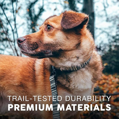 Embark Adventure Dog Collar – Stylish & Durable Nylon Collar for Medium Dogs,Comfortable & Adjustable Pet Collar for Medium Sized Dog with Strong Buckles