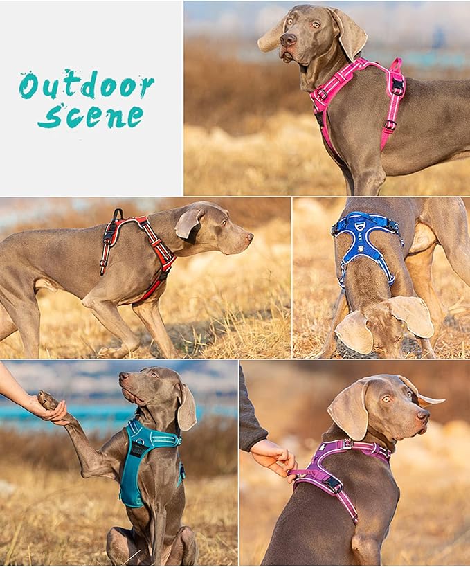 TRUE LOVE Dog Harness No Pull Nylon Reflective Pet Harness Adjustable Comfortable Control Step-in Brilliant Colors Truelove TLH56512 Gray