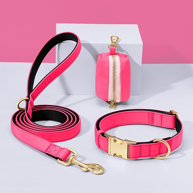 Didog Soft Padded Dog Collars for Small Dogs, Colorful and Durable Dog Collar with Quick Release Buckle, Light and Breathable for Daily Walking, Pink, S