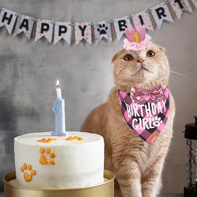 ADOGGYGO Cat Birthday Party Supplies, Birthday Girl Plaid Kitten Bandana, Pink Cat Party Hat with Numbers, Bowtie (Pink)