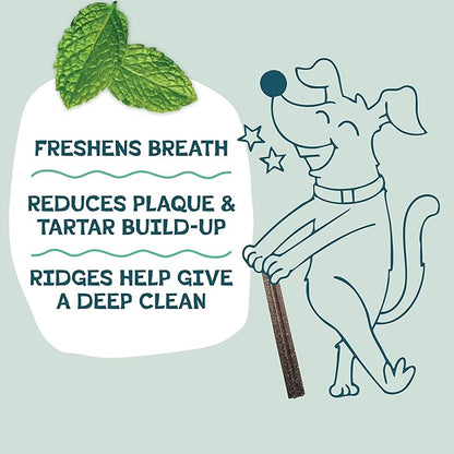 Shameless Pets Bone Broth, Banana, & Mint Dental Chews for Dogs, 32 Chews - Natural Dog Teeth Cleaning Treats with Fresh Breath Benefits | Grain-Free Dental Sticks for Small, Medium & Large Dogs