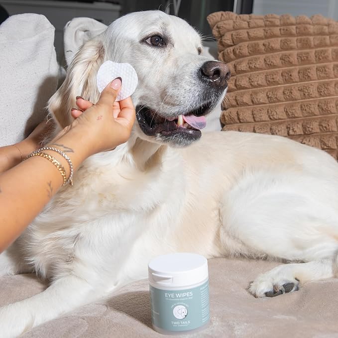 Two Tails Pet Company Eye Wipes Gentle Dog Face Wipes for Cleaning Dirt Around Eyes, Fragrance-Free, Soft & Safe, 100 Disposable Wipes for Grooming Care
