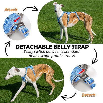 Huntboo Escape Proof Dog Harness – No Pull, No Slip, Fully Reflective, Adjustable 7-Point Design for Small, Medium, and Large Dogs – Lightweight for Outdoor Training & Hiking (Sea Blue, L)