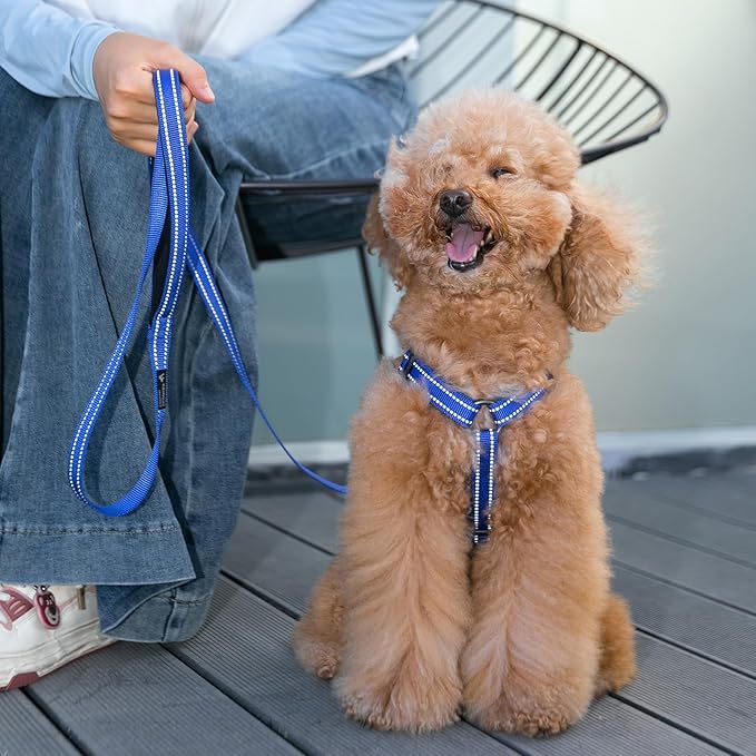EXCELLENT ELITE SPANKER No Pull Dog Harness Reflective Nylon Vest L-Shaped Adjustable Easy Pet Harness for Small Medium Large Breeds Dogs Walking Training Black Red(Red-M)