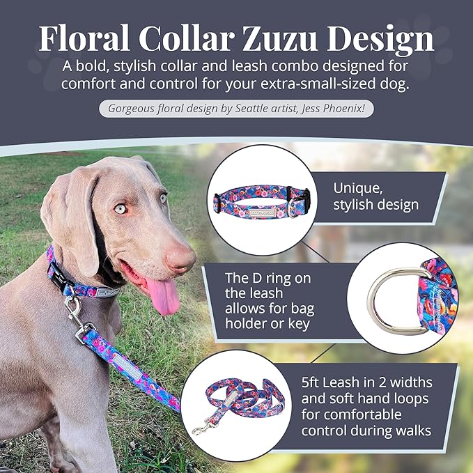 Lucky Love Dog - Adjustable Dog Collar and Leash Set with Easy Click Buckle for Small Dogs, Durable, & Comfortable Collar for Male & Female Dogs, Puppies & Adult Dogs - Zuzu, XS