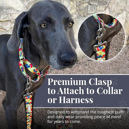 Lucky Love Dog Leash, Pattern Oscar Dog Leash, Small, Durable & Long Lasting (Oscar, Small)