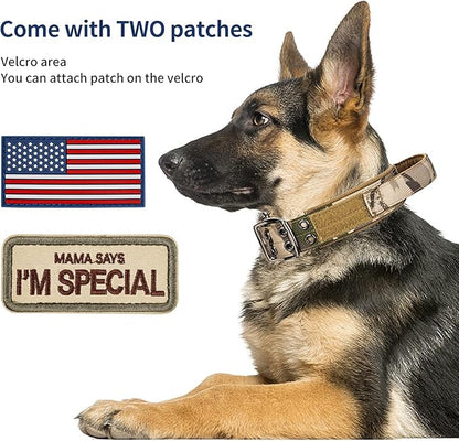 Annchwool Tactical Dog Collar for Medium and Large Dog,Adjustable Military Dog Collar with Soft Padded Handle,Heavy Duty Double Buckle Design(Green Camo,M)