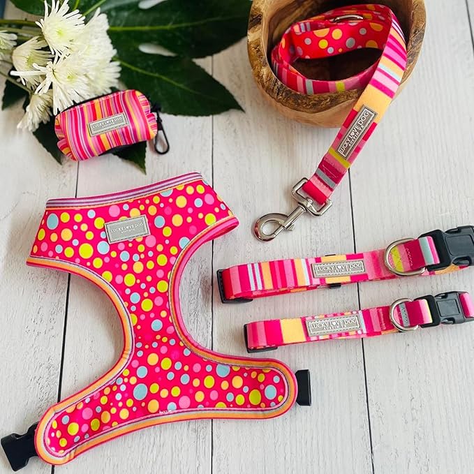 Lucky Love Dog Collar and Leash Set - Colorful Stripes, Yellow, Pink, Blue - Cute Female Dog Combo Set - Large, Molly Combo
