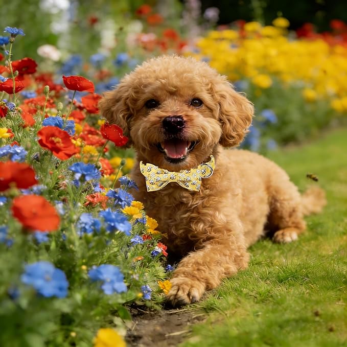 Lionet Paws Spring Dog Collar with Bow tie,Cute Summer Bees Yellow Dog Collar Bow Tie for X-Large Dogs Female, Neck 16-26 inches
