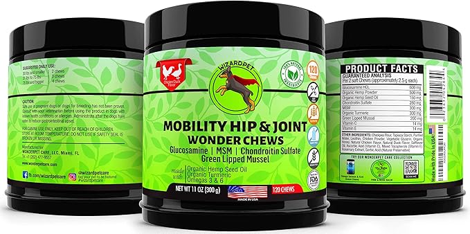 WIZARDPET Advanced Hemp Hip and Joint Supplement for Dogs Hemp Oil Glucosamine Chondroitin for Dog Omegas Turmeric MSM Green Lipped Mussel Made in USA Treats Support Mobility 120 Chews