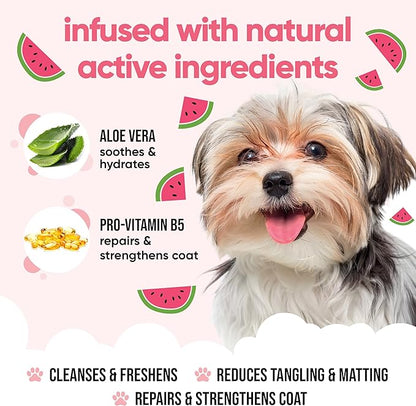 Watermelon Dog Shampoo by Buddycare | Dry Skin & Itchy Skin Relief for Smelly Dogs | Deep Cleansing Shampoo for Dogs Puppy Sensitive Skin | Dog Shampoo & Conditioner | with Aloe & Vitamin B5 (16.90oz)