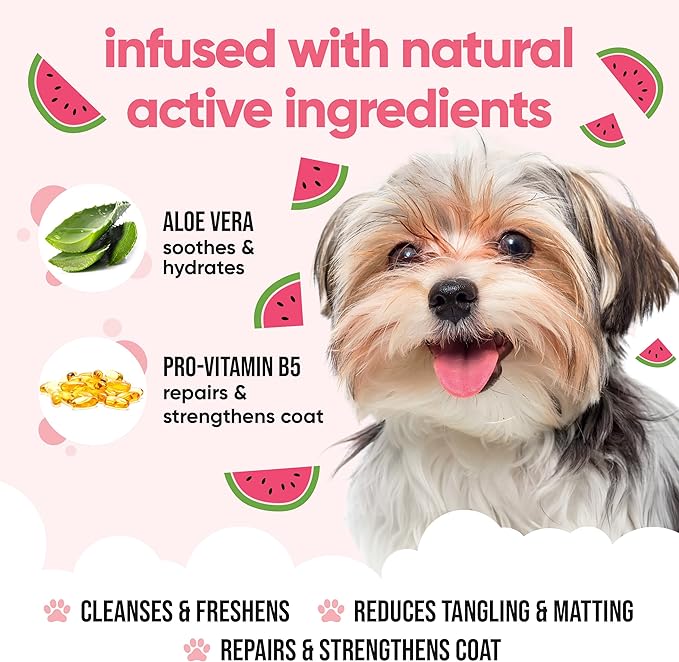 Watermelon Dog Shampoo by Buddycare | Deep Cleansing Shampoo for Dogs | Fresh Scented | with Aloe Vera and Pro Vitamin B5 (169.07oz)