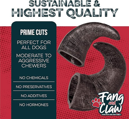 Water Buffalo Horn Dog Chew 4 Pack - Large 8" - All Natural Free Range Grass Fed Single Source Protein - No Chemicals, Additives, Hormones - Long Lasting, Good for Aggressive Chewers – by Fang & Claw