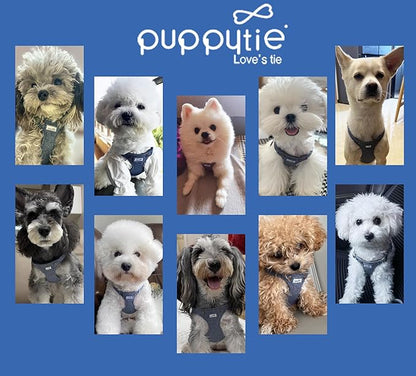 Puppytie No Pull Small Dog Harness with Multifunction Dog Leash,Lightweight Soft Adjustable No Choke Escape Proof Pet Harness Vest Pet Harness Vest,Denim Light Blue,S