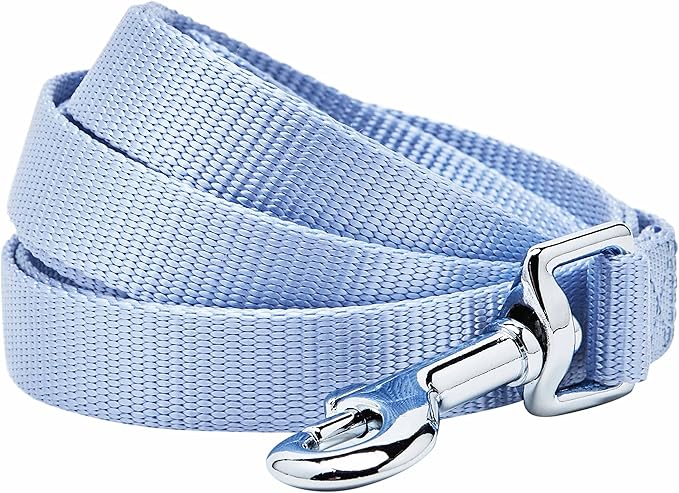 Blueberry Pet Essentials Chambray Blue Dog Leash for Medium - 5' * 3/4" Dogs | Heavy Duty Nylon Lead | Lightweight Puppy & Cat Leash for Walking & Training