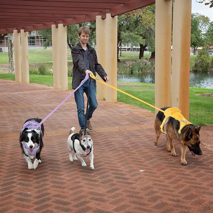 No Pull Lightweight Dog Harness: Adjustable Durable Breathable Mesh Pet Vest Harness with Soft & Comfortable Cushion, for Small Medium Large Dogs (L, Butter Yellow)