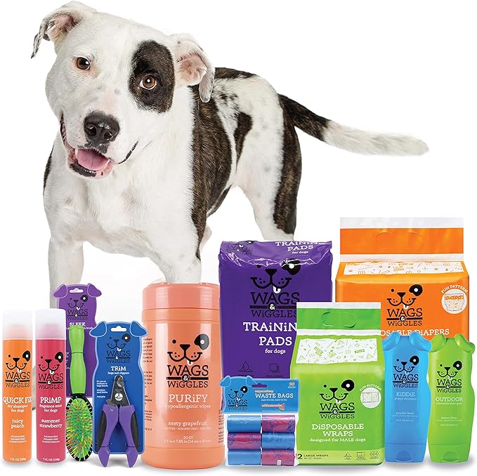 Wags & Wiggles Very Berry Polish Multipurpose Dog Wipes, Count of 200