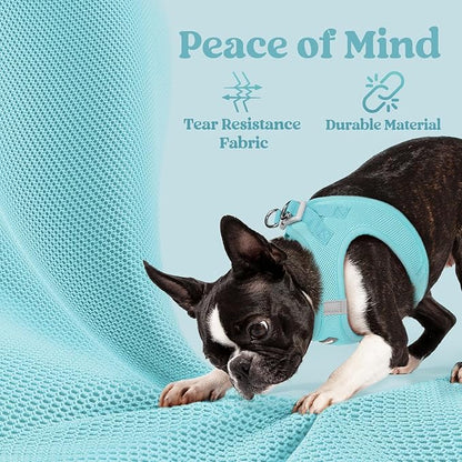 rabbitgoo Small Dog Harness, Step-in Soft Mesh Puppy Vest with Safety Buckle, Breathable Reflective Pet Harness for Small Medium Dogs, Mint Blue XL