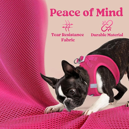 rabbitgoo Small Dog Harness, Step-in Soft Mesh Puppy Vest with Safety Buckle, Breathable Reflective Pet Harness for Small Sized Dogs, Rose Red XS
