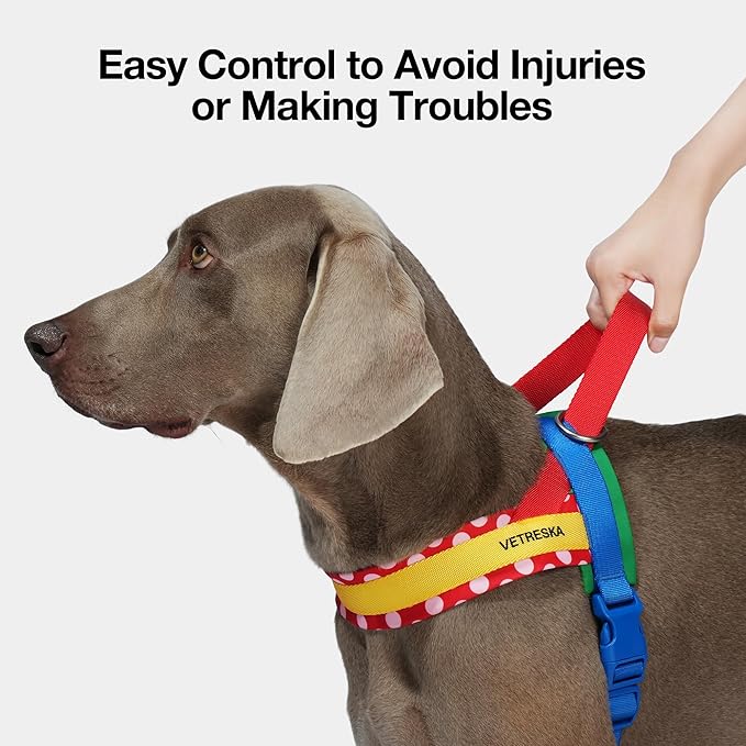 VETRESKA MoMA Dog Harness and Leash Set, No-Pull Puppy Harness for Walking and Training, Easy Walk Dog Harness for Small Medium Dogs, Adjustable, Take Control & Anti-Twist Pet Lead Combo (Red, S)