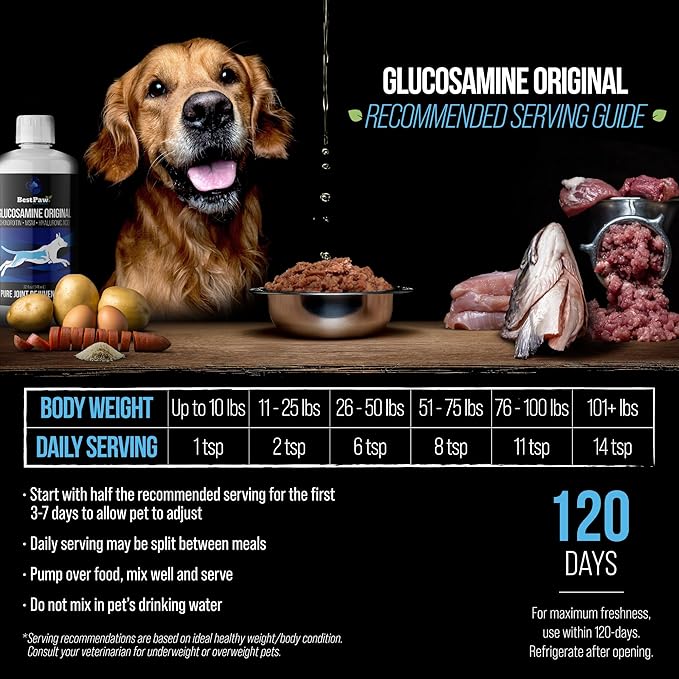 Best Paw Nutrition Liquid Glucosamine Chondroitin for Dogs - Hip Dysplasia & Joint Pain Relief - Canine Health Food Supplement - Natural Pet Vitamins with MSM for Dog Mobility Support - 32oz