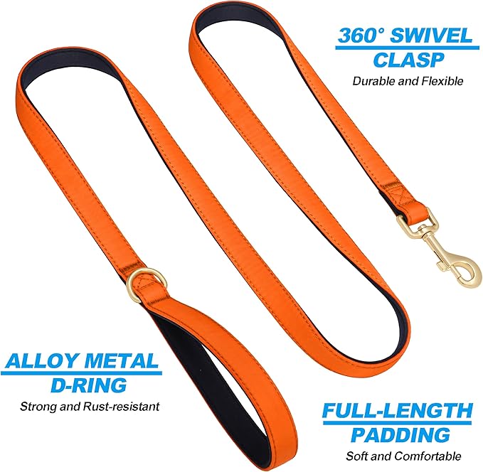 Didog 5FT Colorful Nylon Dog Leash with Soft Full-Length Padding, Lightweight and Durable Pet Leash for Medium and Large Dogs, Orange, M