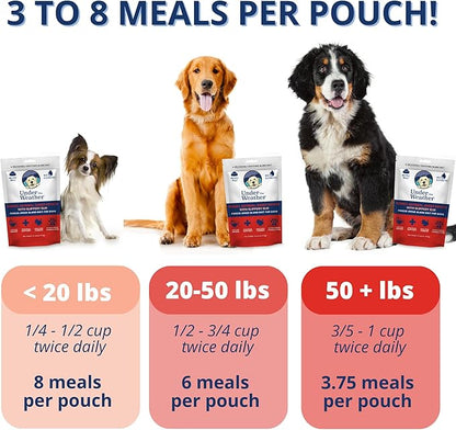 Under the Weather Bland Diet for Dogs | Easy to Digest Stomach Support for Sick Dogs | Contains Electrolytes, All Natural | 1 Pack - Turkey, Oatmeal, Sweet Potato & Slippery Elm - 6oz
