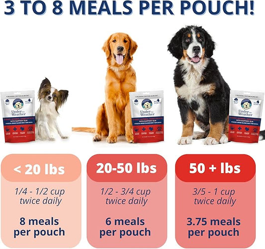 Under the Weather Bland Diet for Dogs | Easy to Digest Stomach Support for Sick Dogs | Contains Electrolytes, All Natural | 2 Pack - Turkey, Oatmeal, Sweet Potato & Slippery Elm - 6oz