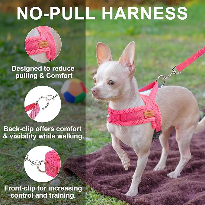 BEAUTYZOO Dog Harness for Small Dogs, No Pull Dog Harness and Leash Set, Soft Escape Proof Puppy Vest Harness with Handle, Reflective Lightweight Step in Harness for Girl Boy Dogs, Pink XS