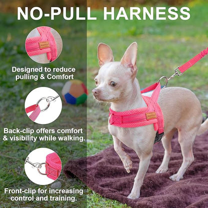 BEAUTYZOO Dog Harness for Small Dogs, No Pull Dog Harness and Leash Set, Soft Escape Proof Puppy Vest Harness with Handle, Reflective Lightweight Step in Harness for Girl Boy Dogs, Pink XS