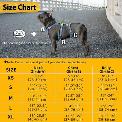 Huntboo Escape Proof Dog Harness, No Pull Reflective Harness with Lift Handle, Adjustable Pet Vest with Front and Back Leash Clips for Small Medium Large Dogs Walking Hiking Training (Vista Blue,L)
