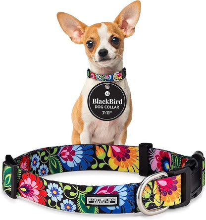Lucky Love Dog - Adjustable Dog Collar with Easy Click Buckle for Small Ones, Durable, & Comfortable for Male & Female Dogs, Pet Collar for Puppies & Adult Dogs - Blackbird, X-Small