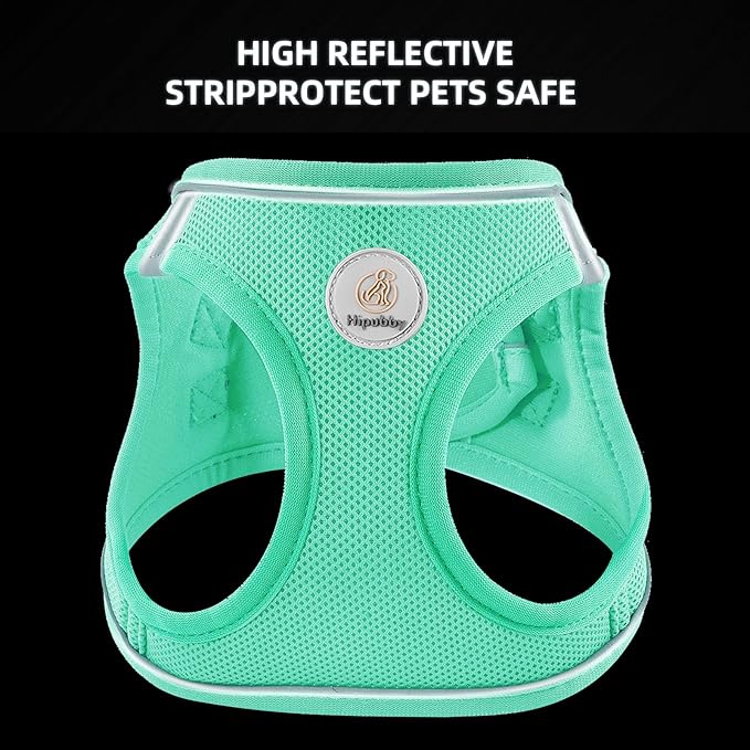 Hipubby Dog Harness and Leash Set, No Pull Soft Mesh Puppy Harness for Small Medium Dogs, Cats - Step in Reflective Breathable Lightweight Vest Harness for Walking, Training - Green, M