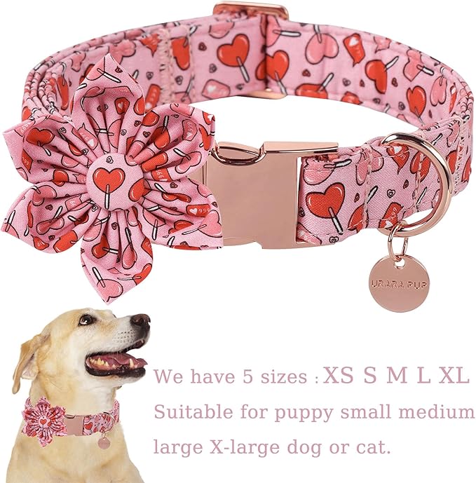 UP URARA PUP Valentine Dog Collar with Flower, Heart Flower Collar for Puppy Girl Boy Dog or Cat, Comfortable Dog Collar Flower with Durable Metal Buckle, Cute Pet Collar,XL, Neck 16-26in