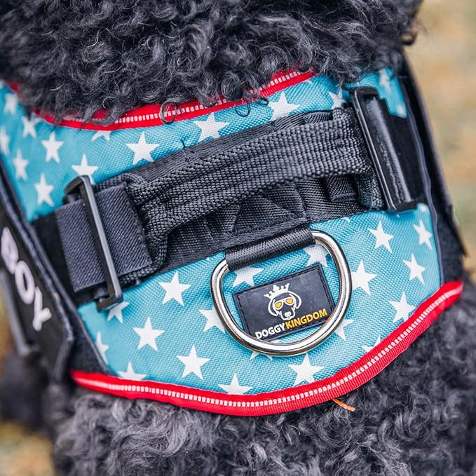 DOGGYKINGDOM Non Pull Dog Harness with Patch Panels and Handle, Adjustable, Reflective, No Choke, Heavy Duty Easy On Service Dog Vest Harnesses for Medium Large Small Sized Dogs - Green, XL