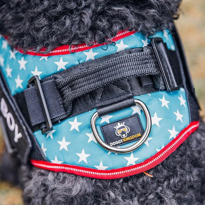 DOGGYKINGDOM Non Pull Dog Harness with Patch Panels and Handle, Adjustable, Reflective, No Choke, Heavy Duty Easy On Service Dog Vest Harnesses for Medium Large Small Sized Dogs - US Flag, S