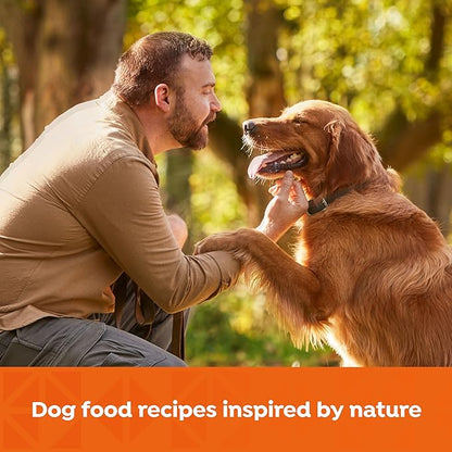 Nature’s Recipe Grain Free Wet Dog Food Chicken, Sweet Potato, and Pumpkin Recipe, 13 oz. Can (Pack of 12)