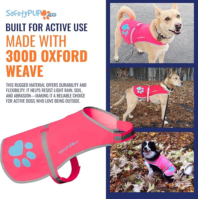 SafetyPUP XD Dog Reflective Vest – Hi-Vis Fluorescent Visibility That Helps to Safeguard Your Pet On/Off Leash in Urban & Rural Areas (Pink, X-Large)