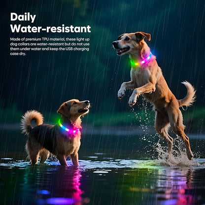HIGO RGB LED Dog Collar Light - USB Rechargeable Light Up Dog Collars, Safety LED Dog Necklace for Your Dogs Walking at Night (Multi-Color)