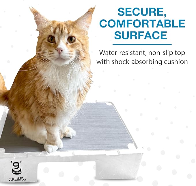 Blue-9 KLIMB Jr. Professionally Designed Dog Training Platform and DIY Guide for Behavior Basics, Made in The USA, White