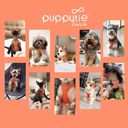 Puppytie No Pull Small Dog Harness with Multifunction Dog Leash,Lightweight Soft Adjustable No Choke Escape Proof Pet Harness Vest Pet Harness Vest,Orange,S