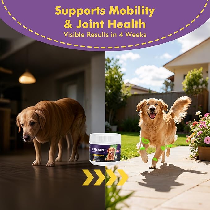Glucosamine Chondroitin MSM Chewable Tablets for Dogs - Hip & Joint Support Supplement with Vitamins, Chicken Flavor, Joint Pain Relief for Puppies & Senior Dogs, 120 Count