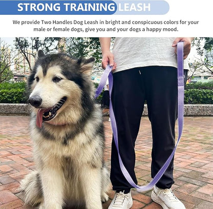 Strong Heavy Duty Dog Leash - 4ft Reflective Nylon Training Leash with Soft Padded Double Handle & Auto Lock Frog Clip, Safety Traffic Control for Large Medium Small Dogs No Pull Walk Light Purple,4ft