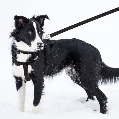 No Pull Dog Harness - Adjustable Step-in Harness & Leash Set for Small, Medium, Large Dogs - Escape Proof Soft Pet Harness for Walking, Training, Hiking, Outdoor Activities