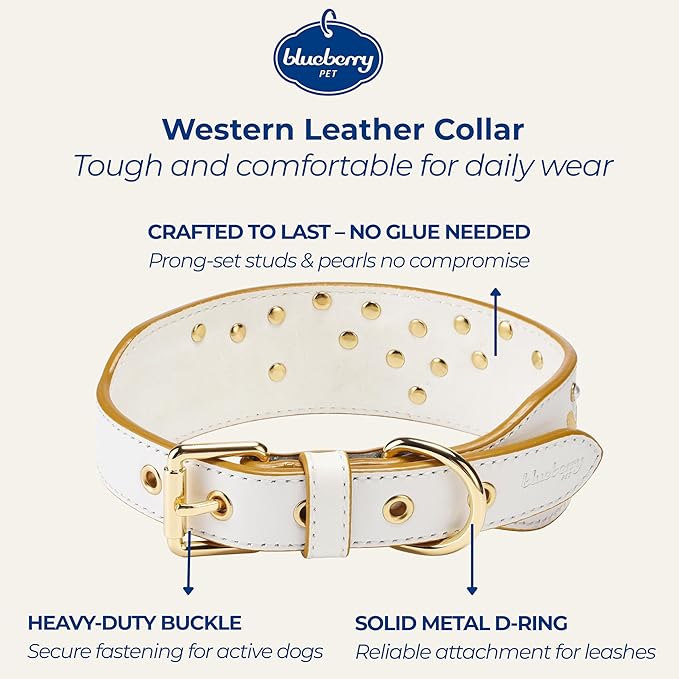 Blueberry Pet Western Genuine Leather Dog Collar for Medium Breeds, Pearl White - Floral Embroidery, Pearl Studs, Adjustable 15-18 Inch Neck, Dog Collars for Medium Dogs